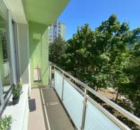 A balcony of a 2-room apartment with a view of trees and the surroundings.