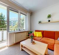 Living room in a two-room apartment with a large window, an orange sofa, and a wooden table.