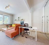 Living room in a two-room apartment with a comfortable sofa and a desk.