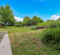 The garden of the family house in Dolná Mariková is surrounded by trees and a grassy area.