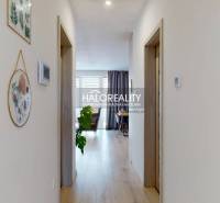 A hallway in a 3-room apartment with wooden flooring and decorations on the walls.