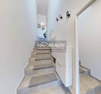 The hallway with a staircase in the 3-room apartment has light walls and decorative elements.