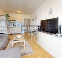 Living room in a studio apartment with a sofa, TV, table, and kitchen in the background.