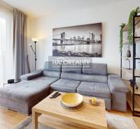 A stylish studio apartment with a sofa, decorative painting, and a bright interior.