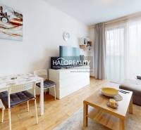 Studio apartment with wooden flooring, a sofa, and a dining table, a bright room with modern furniture.