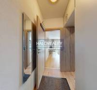 Hallway of a studio apartment with wooden flooring, a mirror, and ceiling lights.