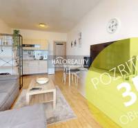 A studio apartment with an open kitchen, sofa, and modern furnishings, suitable for living.