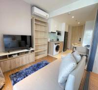 Compact arrangement of a 2-room apartment with a living room, kitchen, sofa, and television.