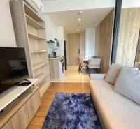 Living room in a two-room apartment with a sofa, television, and dining area.