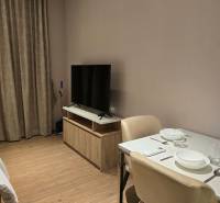 A living space with a television, dining table, and curtains in a studio apartment.