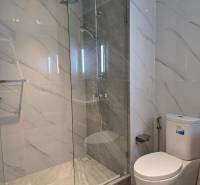 Bathroom in a studio apartment with a glass shower enclosure and a toilet.