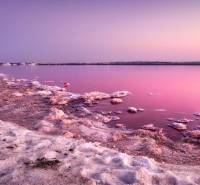 Pink lagoon with salt deposits in the surroundings in Torrevieja, Campoamor 12.