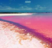 Pink lagoon and white salt beach near Torrevieja in a photograph from Campoamor 12.