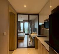 A kitchen in a studio apartment with a view of the living room and balcony.