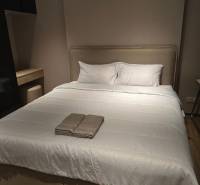 A bedroom in a studio apartment with a large bed and a dresser.