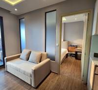 Bright living room in a three-room apartment with a sofa and wooden floor.