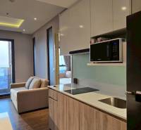 A kitchen in a 3-room apartment with a sofa, a hob, and a microwave.