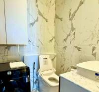 A bathroom in a 4-room apartment with a toilet, washing machine, and marble walls.
