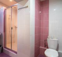 Bathroom with toilet, shower, and sink in a 2-room apartment.