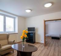 Living room in a two-room apartment with an armchair, a table, and flowers in a vase.