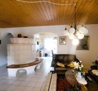 Living room with a wood-burning stove, sofa, and lamp in a family house.