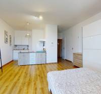 Spacious 1-room apartment with a kitchenette, bed, and wooden floor.