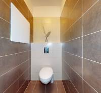 A toilet with brown tiles, a white toilet, a decorative vase, a studio apartment.
