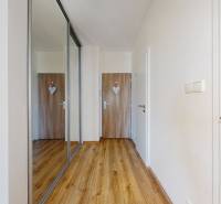 A hallway with a wooden floor, a mirrored wardrobe, and doors, a studio apartment.