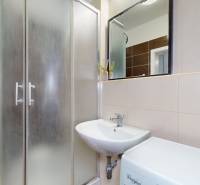 Bathroom with a sink, shower, and washing machine in a studio apartment.