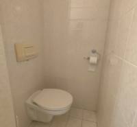 Restroom in commercial premises with space for toilet paper and brushes.