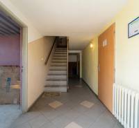 Entrance hallway with stairs, doors, and a radiator in the warehouse and hall areas.