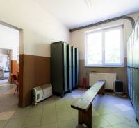 A locker room with lockers, a bench, and a window in the interior of unusual properties.