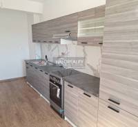 A kitchen in a 2-room apartment with wooden flooring and gray cabinets.