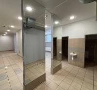 Commercial premises with mirrored columns, a sink, and tiles.