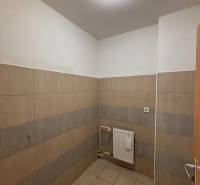 Bathroom with tiles and a radiator in commercial premises.