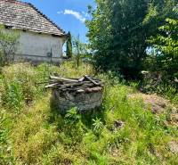 A well surrounded by greenery on the property - living on Mlynska Street in Biel.