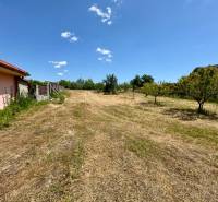 Plots - residential on Mlynska Street in the town of Biel with grassy area and fruit trees.
