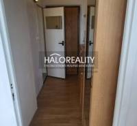 A hallway in a one-room apartment with an entrance door and a wooden floor.
