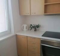 A kitchen in a studio apartment with cabinets, a cooktop, and a plant on the windowsill.