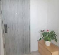 Entrance door and cabinet with a plant in a studio apartment.