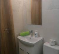 Bathroom with a sink, mirror, and toilet in a studio apartment.