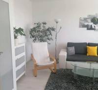 Living room in a one-bedroom apartment with a gray sofa, an armchair, and a plant.
