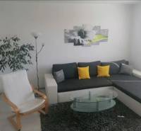 Living room in a one-bedroom apartment with a sofa, armchair, table, and plant.