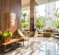 Luxurious interior with comfortable furniture and plants in apartment construction.