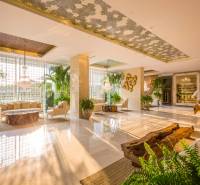 Luxury interior hall with stylish accessories and plants in apartment construction.