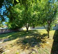 Garden in Trakovice near a family house with dense vegetation and lawn.
