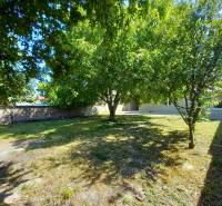 The garden of a family house in Trakovice with fruit trees and a grassy area.