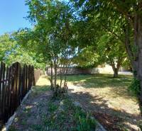 A garden in Trakovice by a family house with a wooden fence and trees.