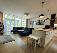 Living room in a 3-room apartment with a kitchen island, sofa, and swing.