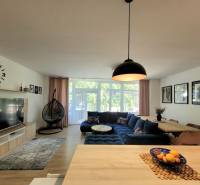 Living room in a 3-room apartment with a blue sofa, large windows, and a hanging chair.
